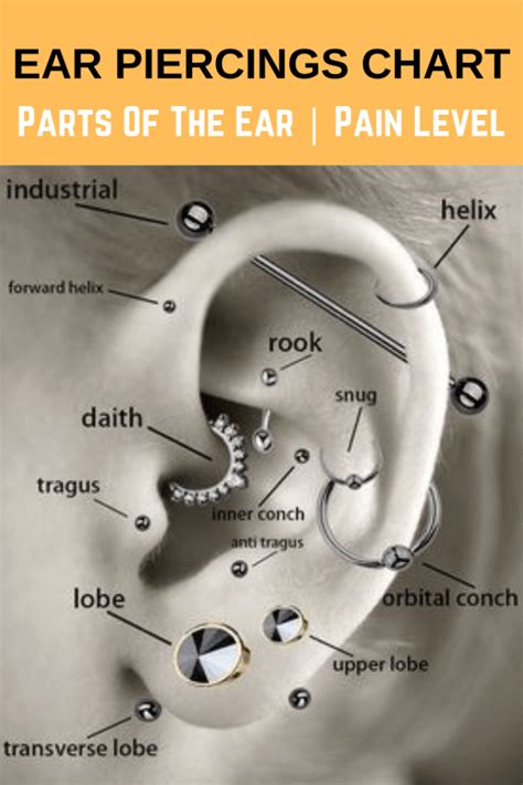 pain ear piercings chart